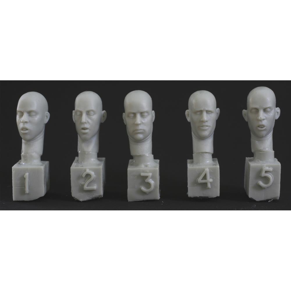 HORNET: 5 different heads looking down