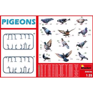 MINIART: 1:35 Pigeons