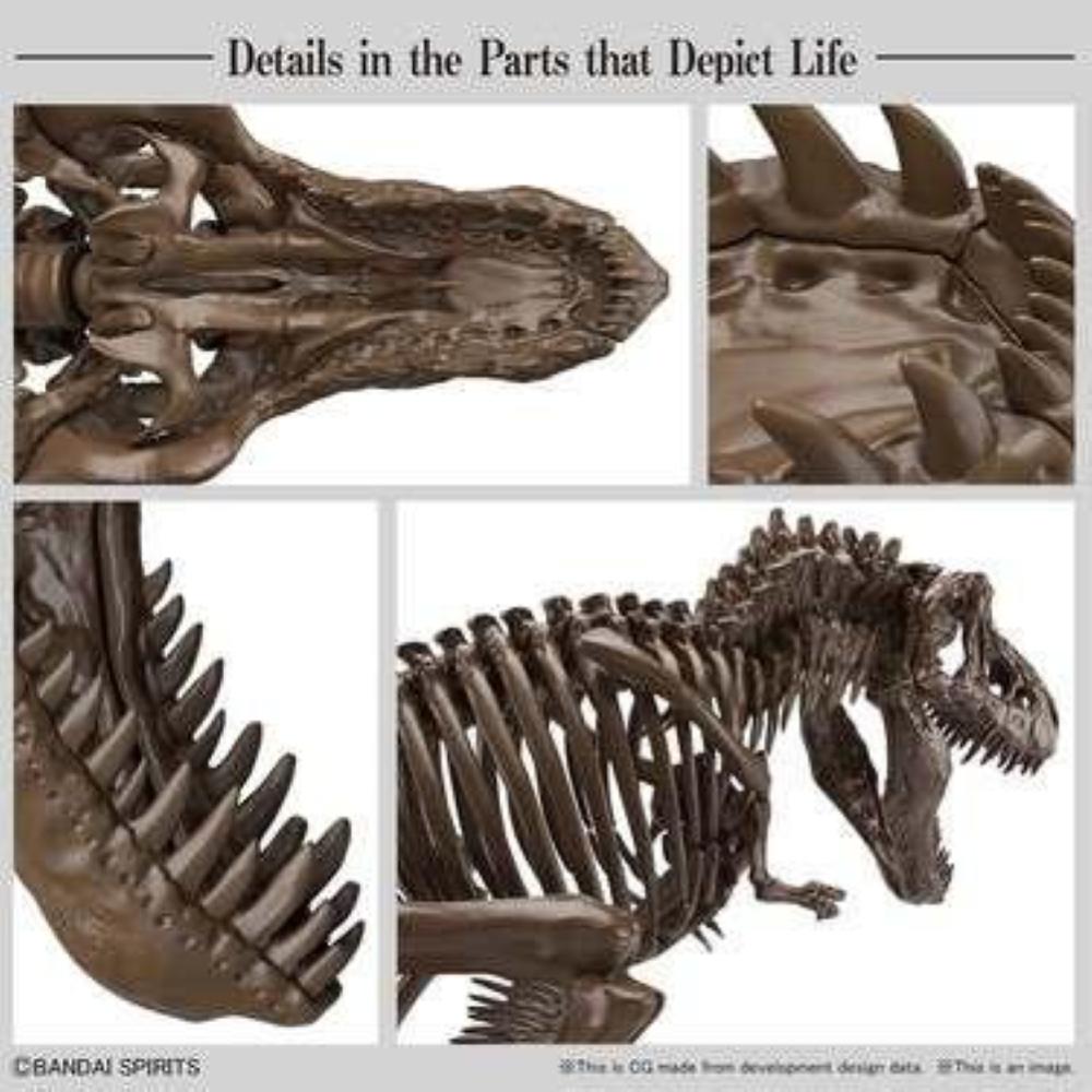 BANDAI: Imaginary Skeleton - TYRANNOSAURUS