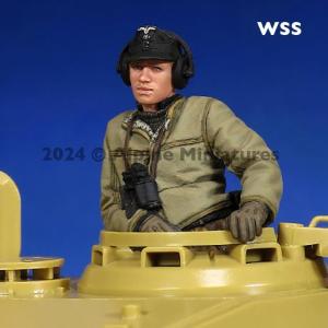 Alpine Miniatures: 1/35; German Panzer Commander