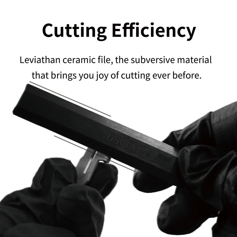 DSPIAE Leviathan Ultimate Hobby File instructions