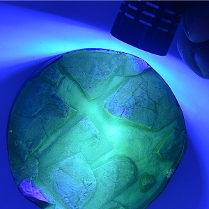 AK interactive:  Transparent UV Resin Water